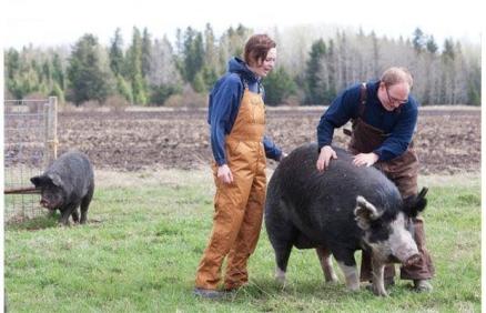 We found our niche by offering Heritage breed livestock raised outdoors.